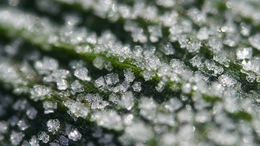 Tek tek açıkladık: Evde kombi havası alma ve petek temizleme 14